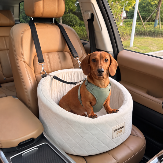 Passenger Pup Dog Car Seat